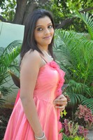 Padmini Gallery